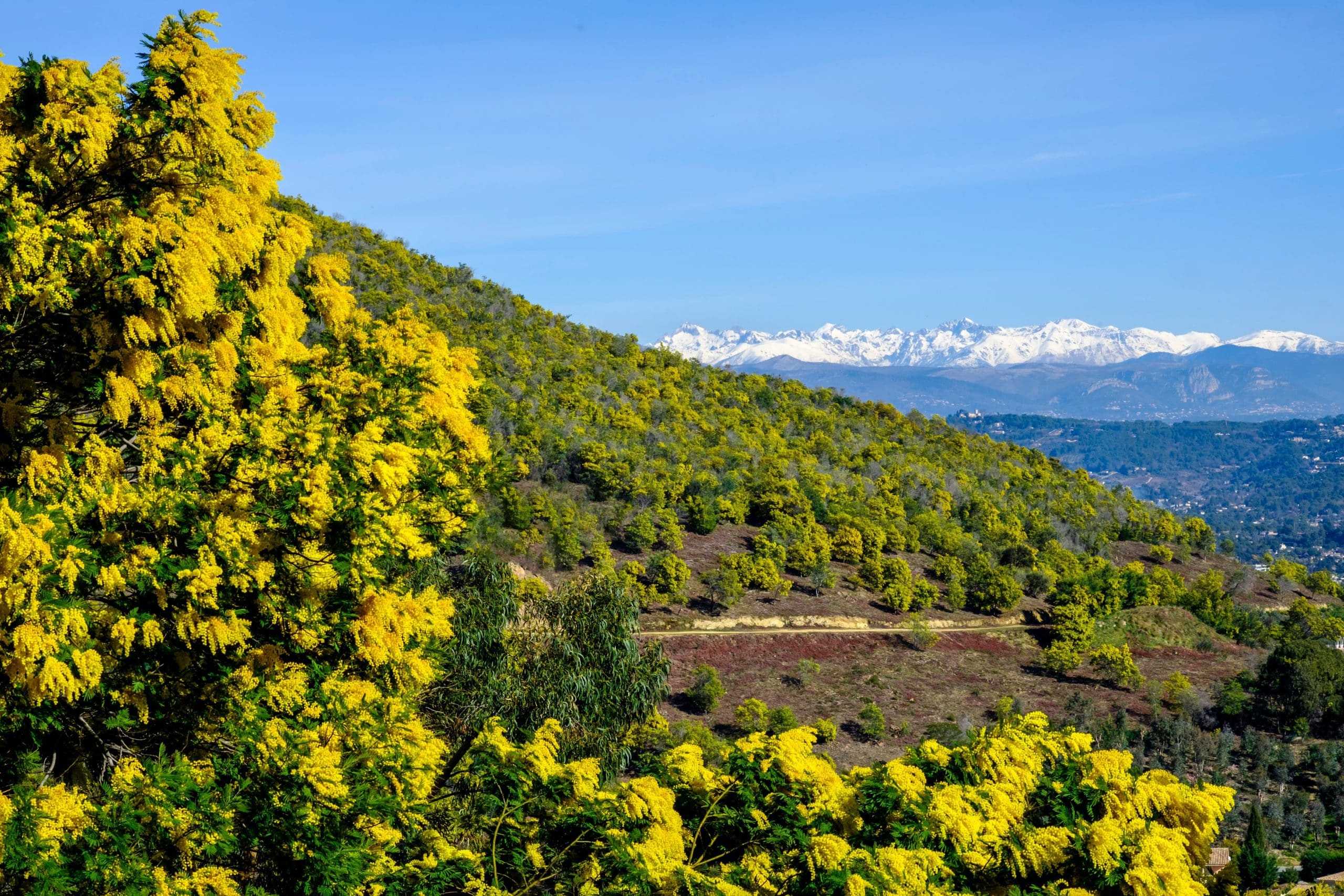 Route du mimosa provence camping